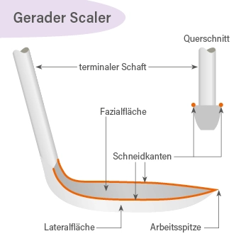 Scaler – Schneidkanten und Form für korrektes Schärfen dargestellt