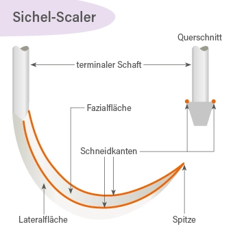 Sichel-Scaler – Schneidkanten und Form für korrektes Schärfen dargestellt